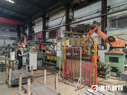 唤醒 沉睡资产 实现 凤凰涅槃